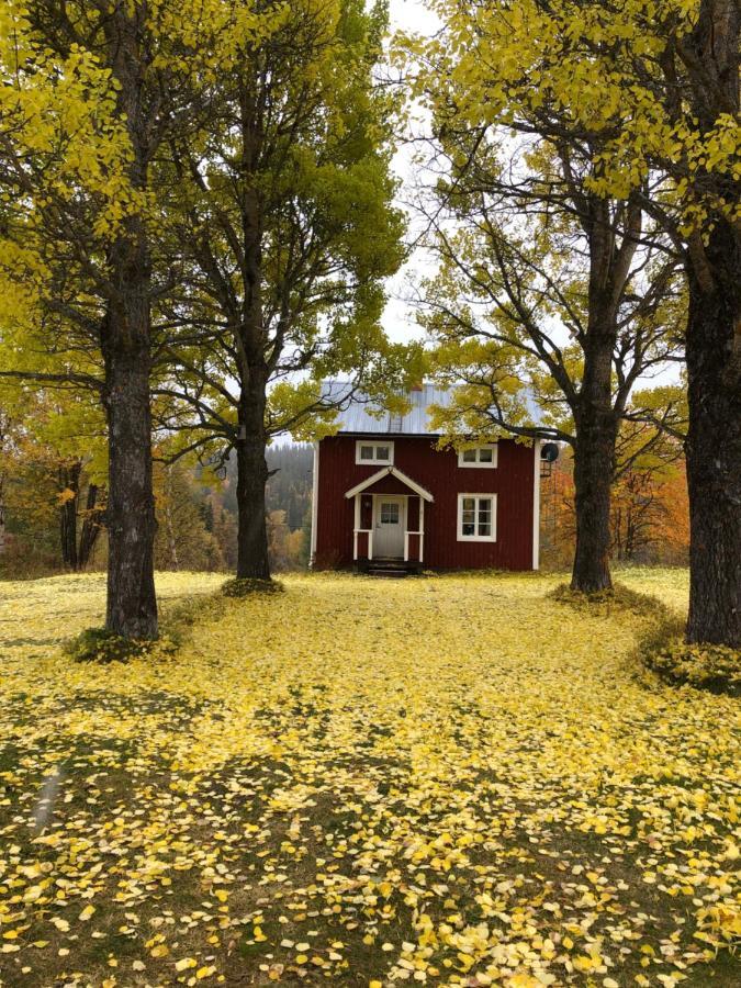 Valagardens Vaerdshus Och Camping Ab Valadalen Exterior foto