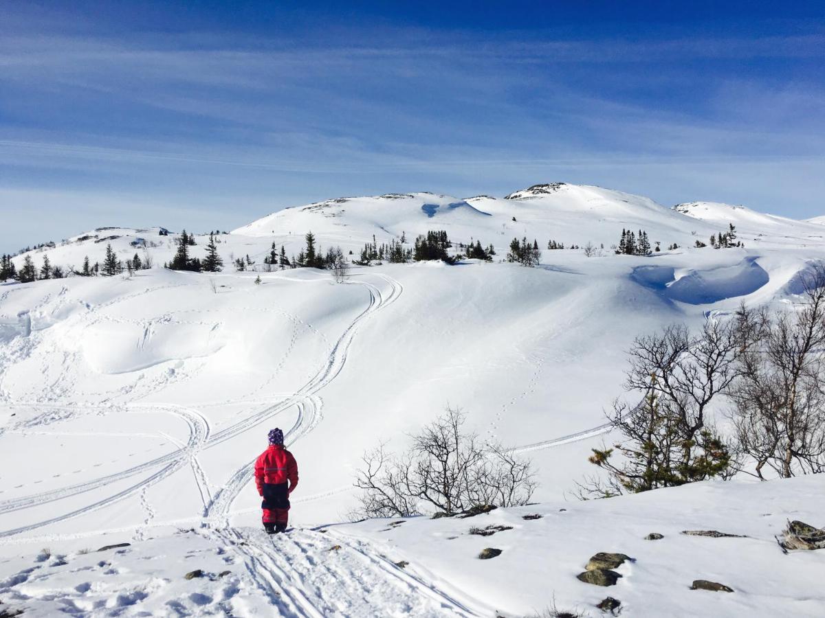Valagardens Vaerdshus Och Camping Ab Valadalen Exterior foto